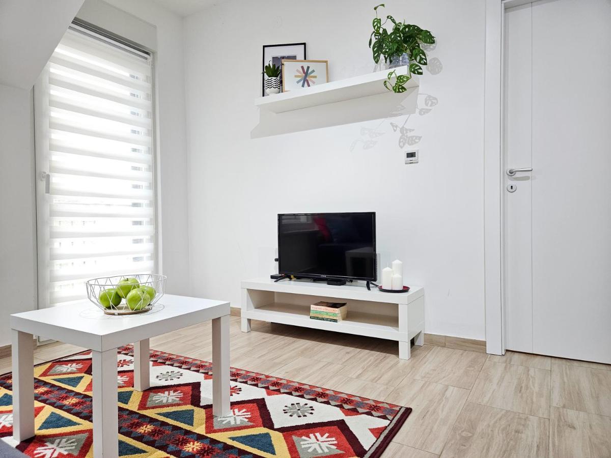 Roman Apartman 斯雷姆斯卡米特罗维察 外观 照片