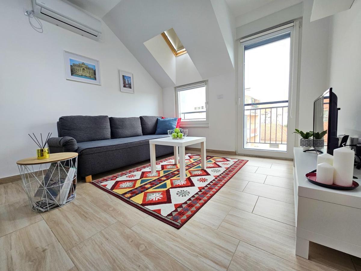 Roman Apartman 斯雷姆斯卡米特罗维察 外观 照片