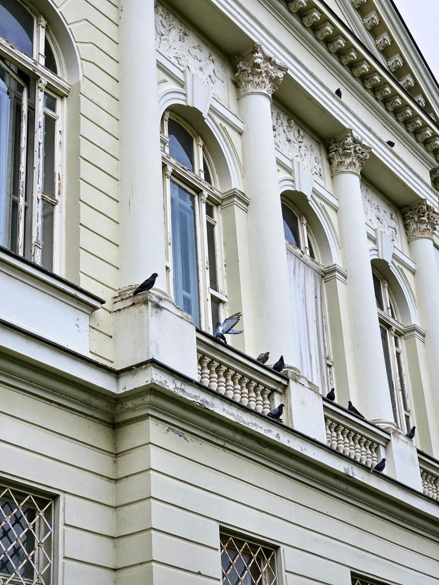 Roman Apartman 斯雷姆斯卡米特罗维察 外观 照片