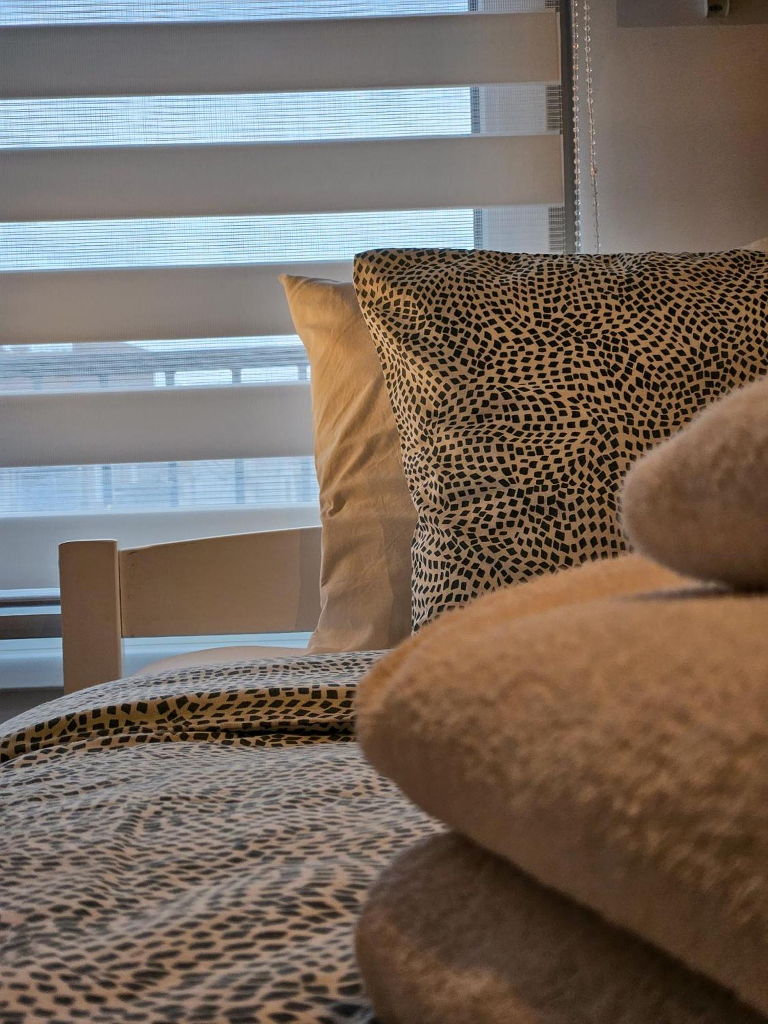 Roman Apartman 斯雷姆斯卡米特罗维察 外观 照片